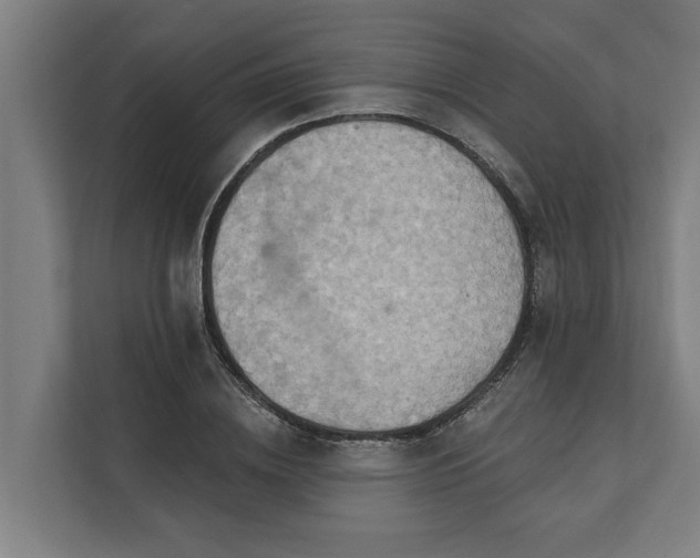 X0000112180836200908211458