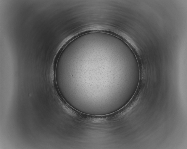 X0000112180837200908211458