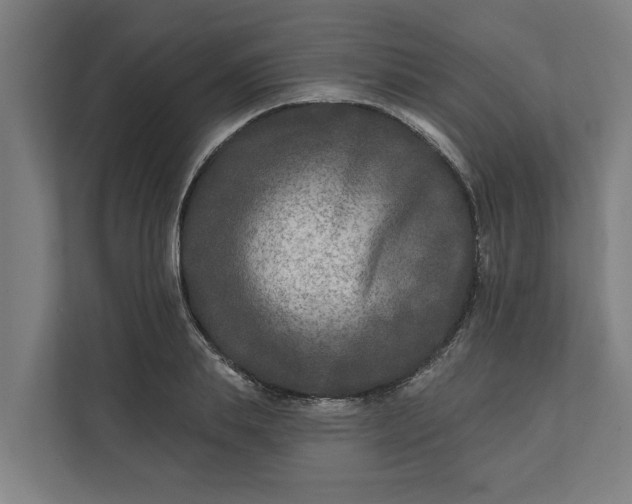 X0000112180839200908211458