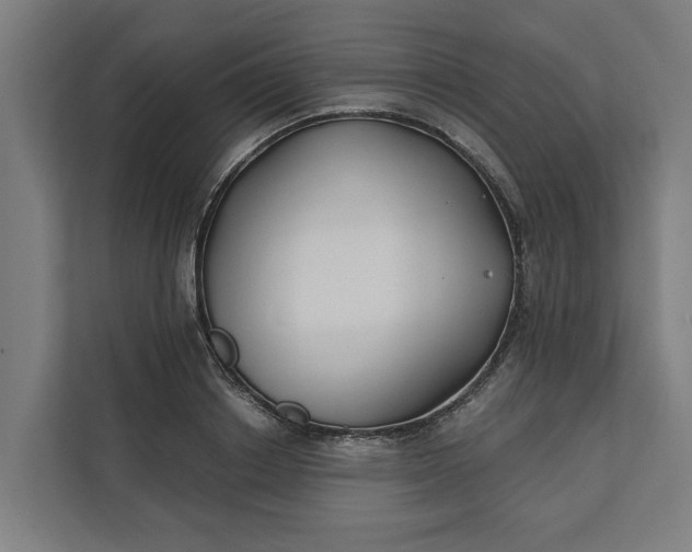 X0000112180842200908211458