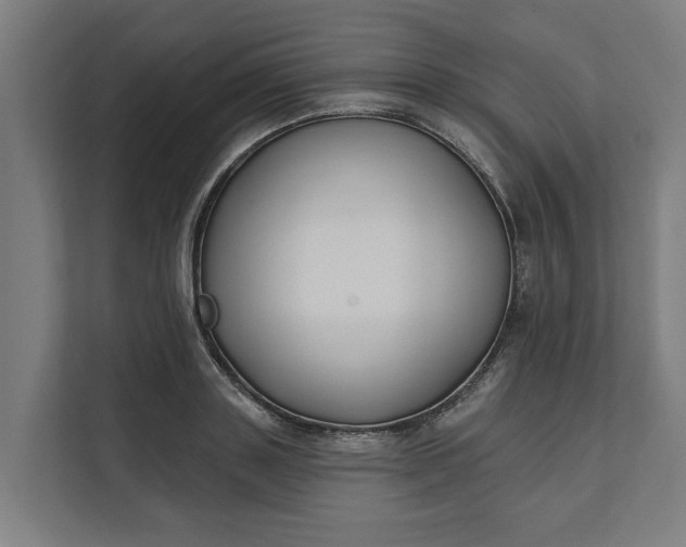 X0000112180843200908211458