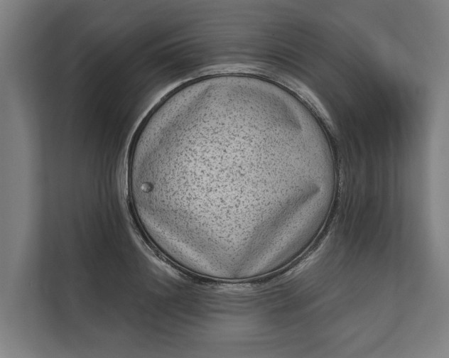 X0000112180844200908211458