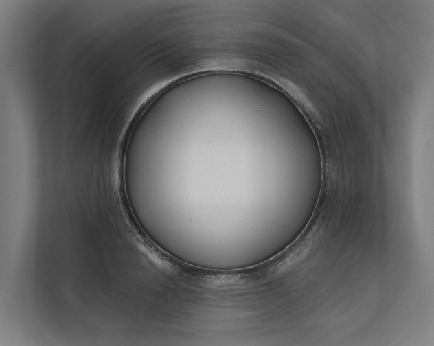 X0000112180846200908211458