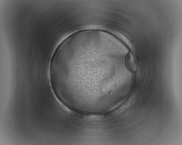 X0000112180847200908211458