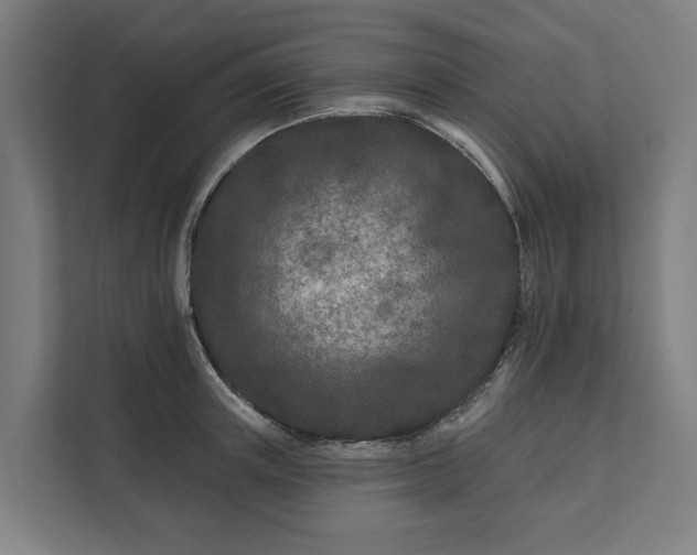 X0000112180851200908211458