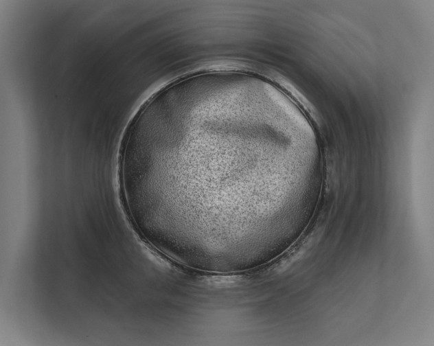 X0000112180853200908211458