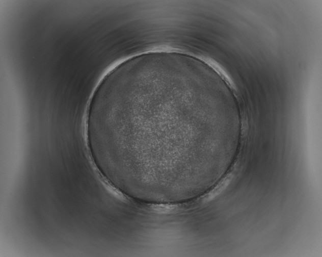 X0000112180854200908211458