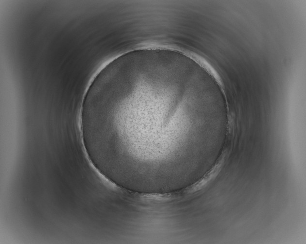 X0000112180855200908211458