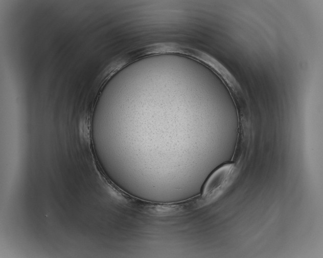 X0000112180857200908211458