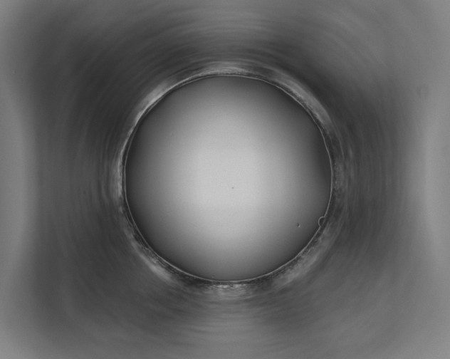 X0000112180858200908211458