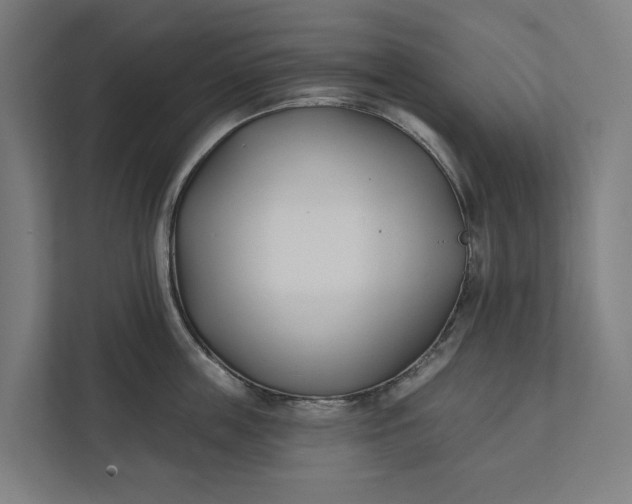 X0000112180859200908211458