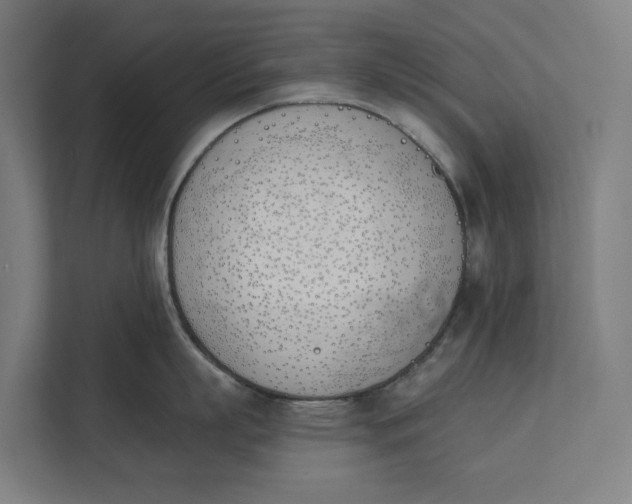 X0000112180863200908211458