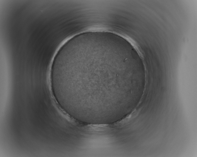 X0000112180864200908211458