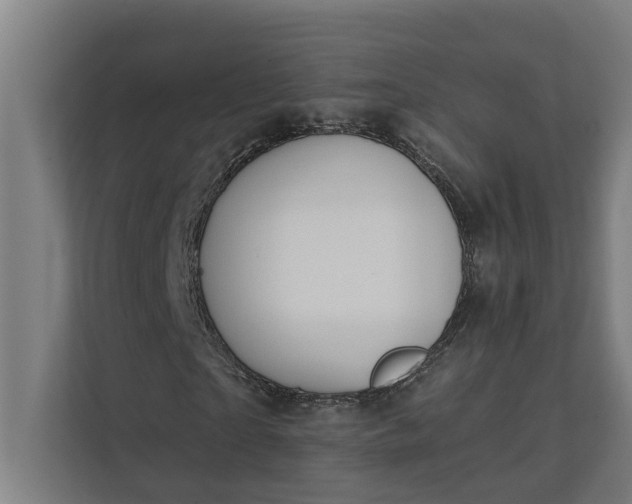 X0000112180865200908211458