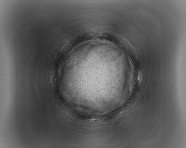 X0000112180867200908211458