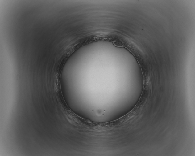 X0000112180868200908211458