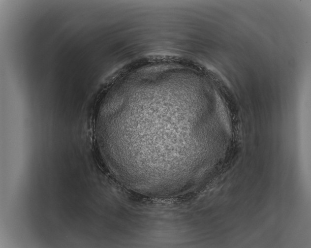 X0000112180870200908211458