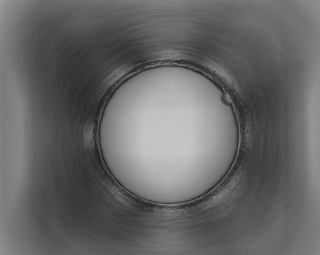 X0000112180873200908211458