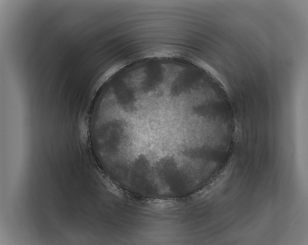 X0000112180874200908211458