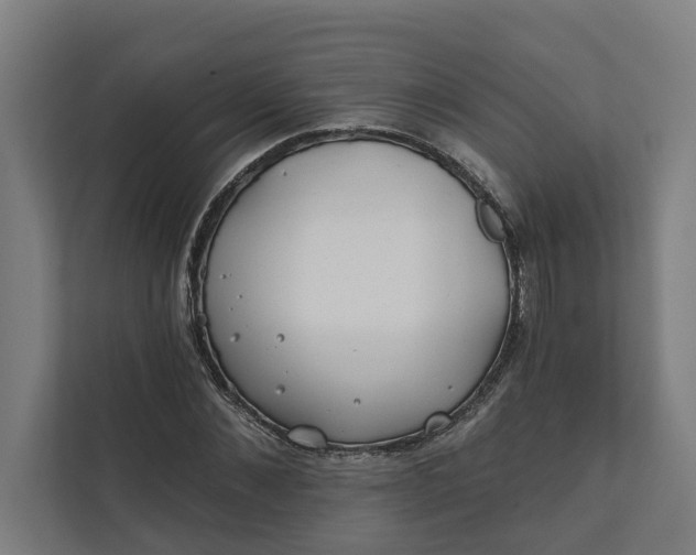 X0000112180876200908211458