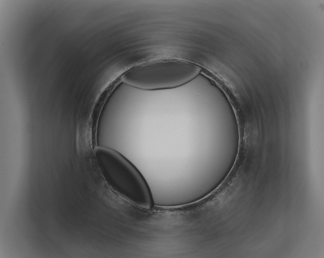 X0000112180877200908211458