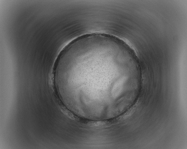 X0000112180879200908211458