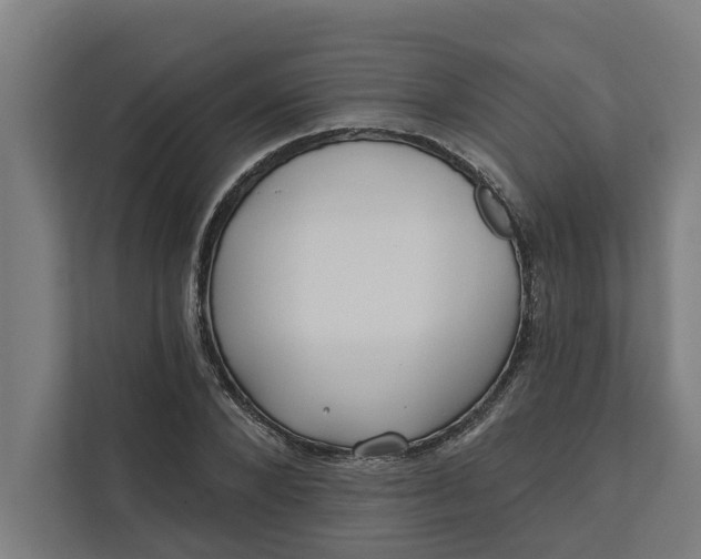 X0000112180880200908211458