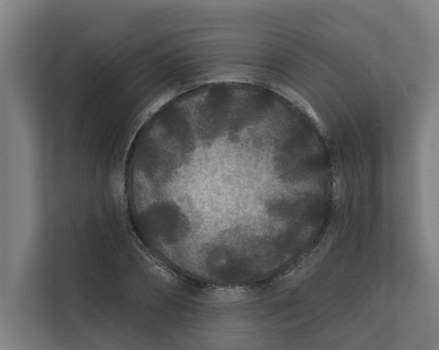 X0000112180882200908211458