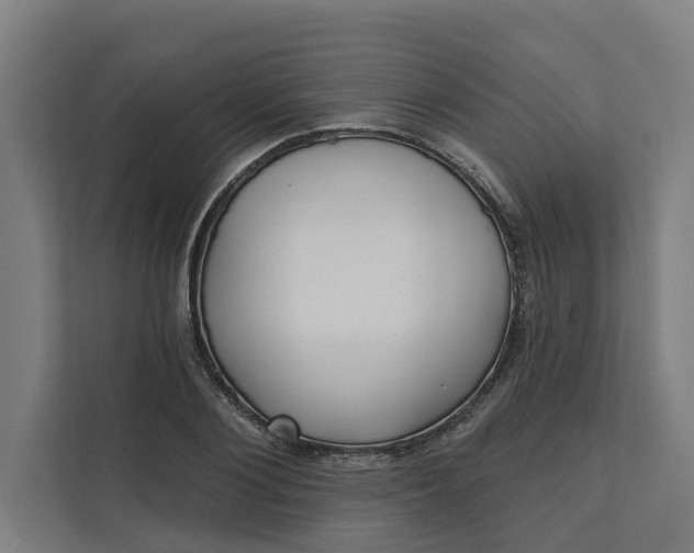 X0000112180884200908211458