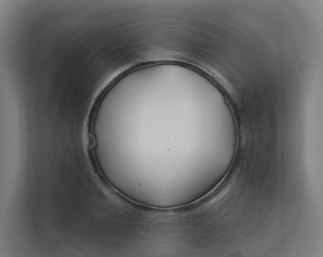 X0000112180885200908211458