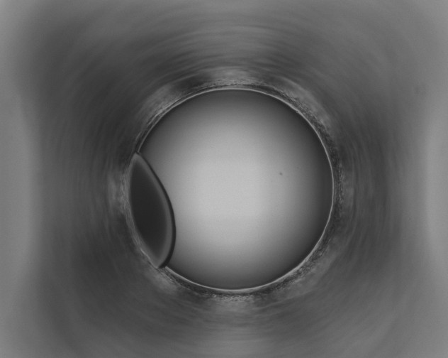 X0000112180889200908211458