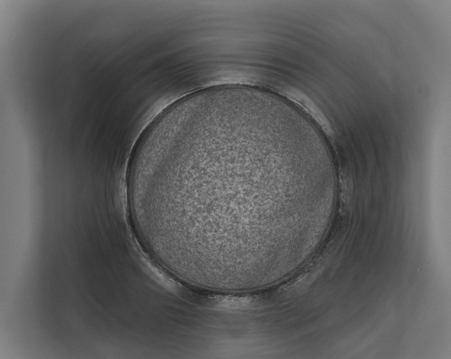 X0000112180890200908211458