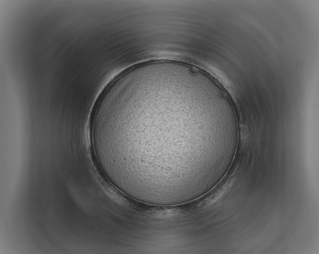 X0000112180891200908211458