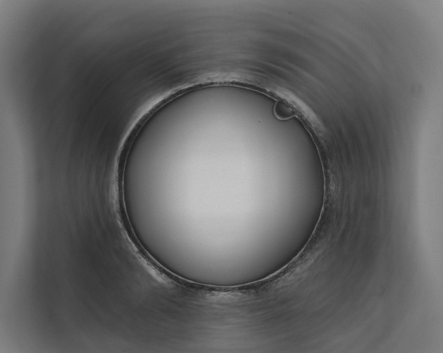 X0000112180894200908211457