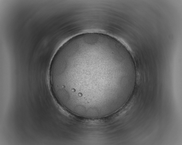 X0000112180895200908211457