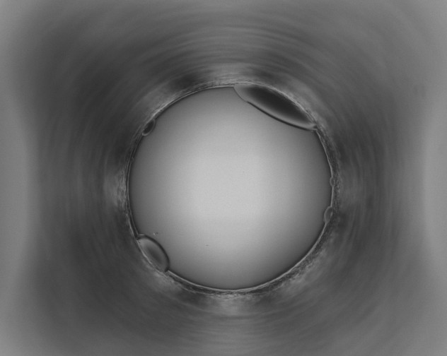 X0000112180897200908211457