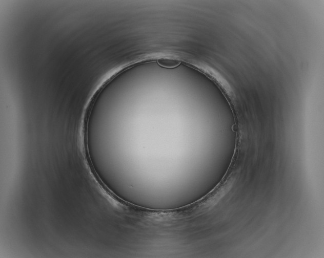 X0000112180902200908211457