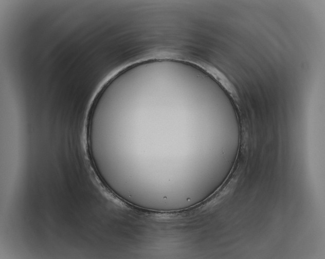 X0000112180904200908211457