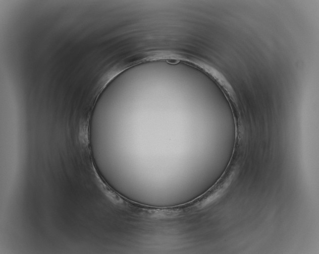 X0000112180905200908211457