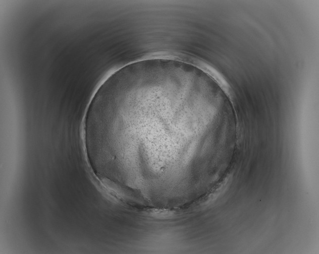 X0000112180907200908211457