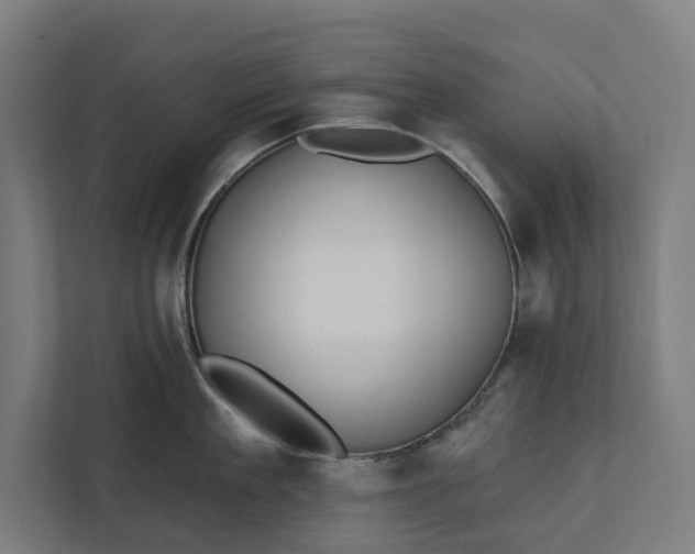 X0000112180909200908211457