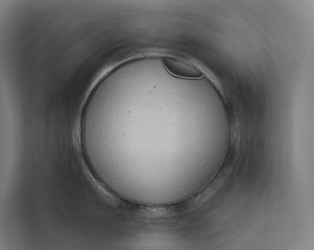 X0000112180911200908211457