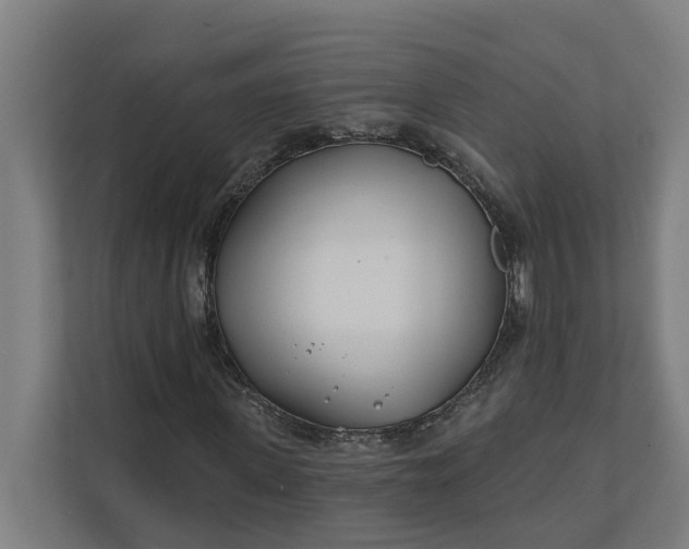 X0000112180915200908211457