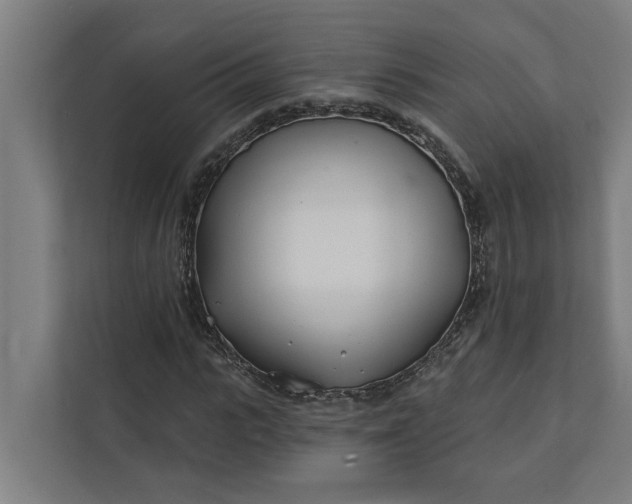 X0000112180919200908211457