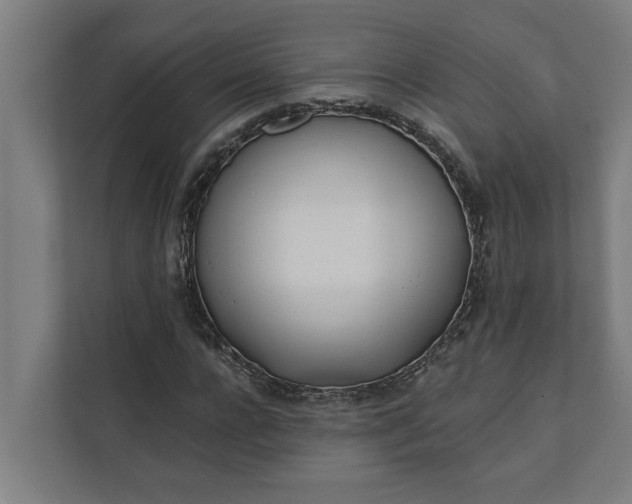 X0000112180920200908211457