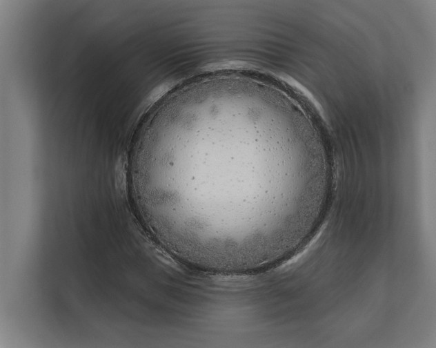 X0000112180921200908211457