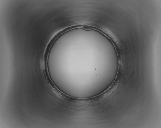 X0000112180924200908211457