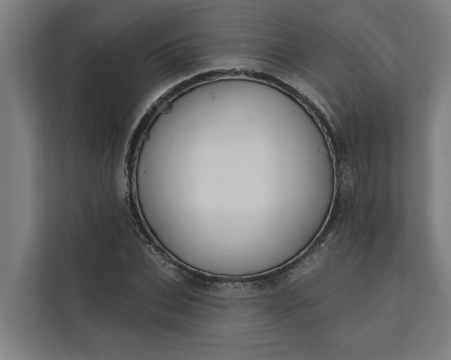 X0000112180927200908211457