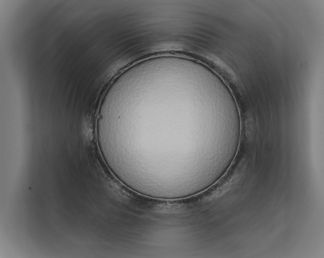 X0000112180929200908211457