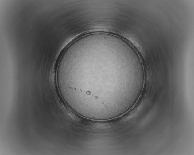 X0000112180933200908211457